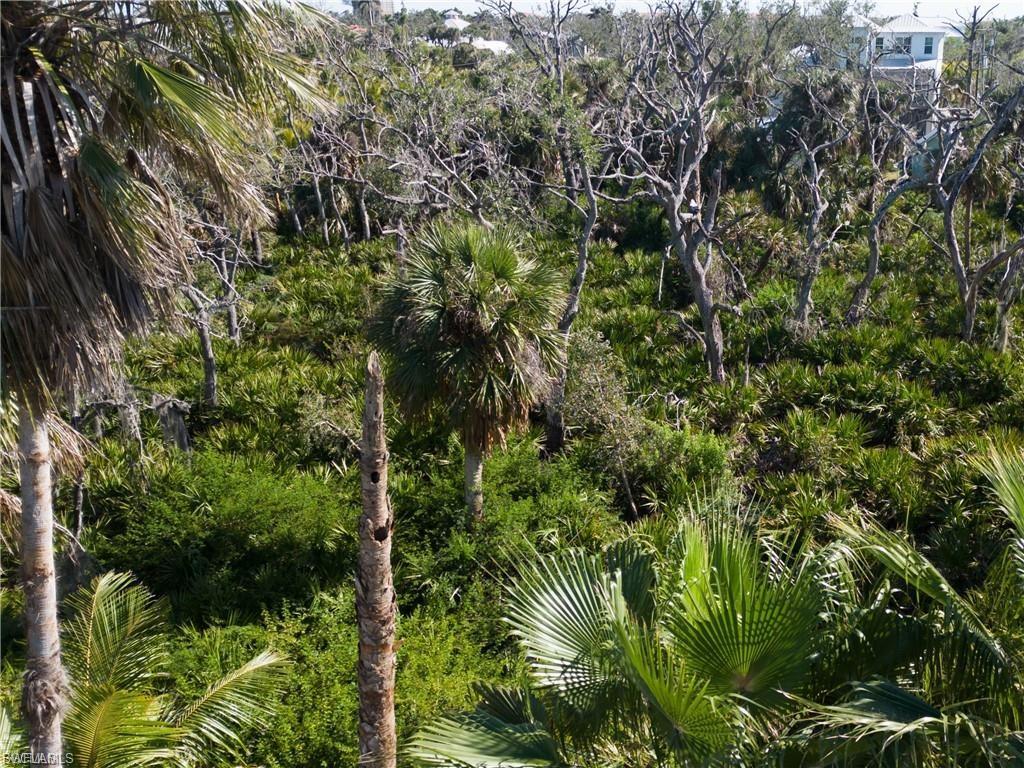 COTTAGE POINT UNREC - Land