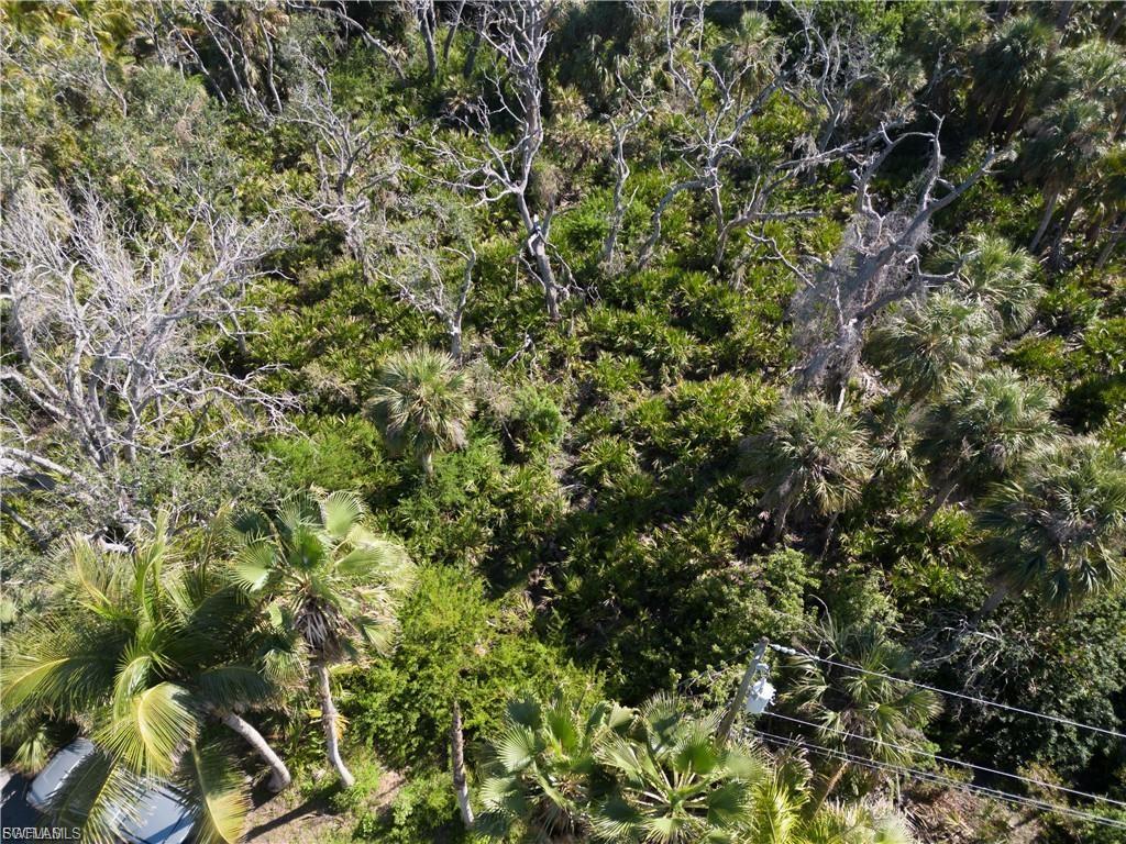 COTTAGE POINT UNREC - Land