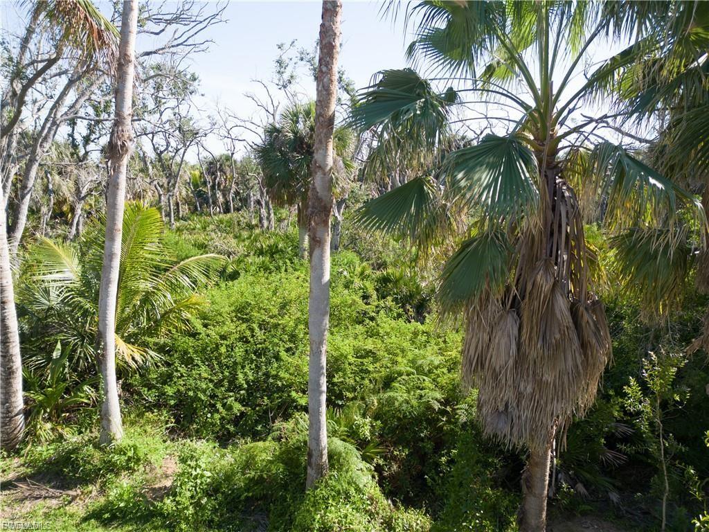 COTTAGE POINT UNREC - Land