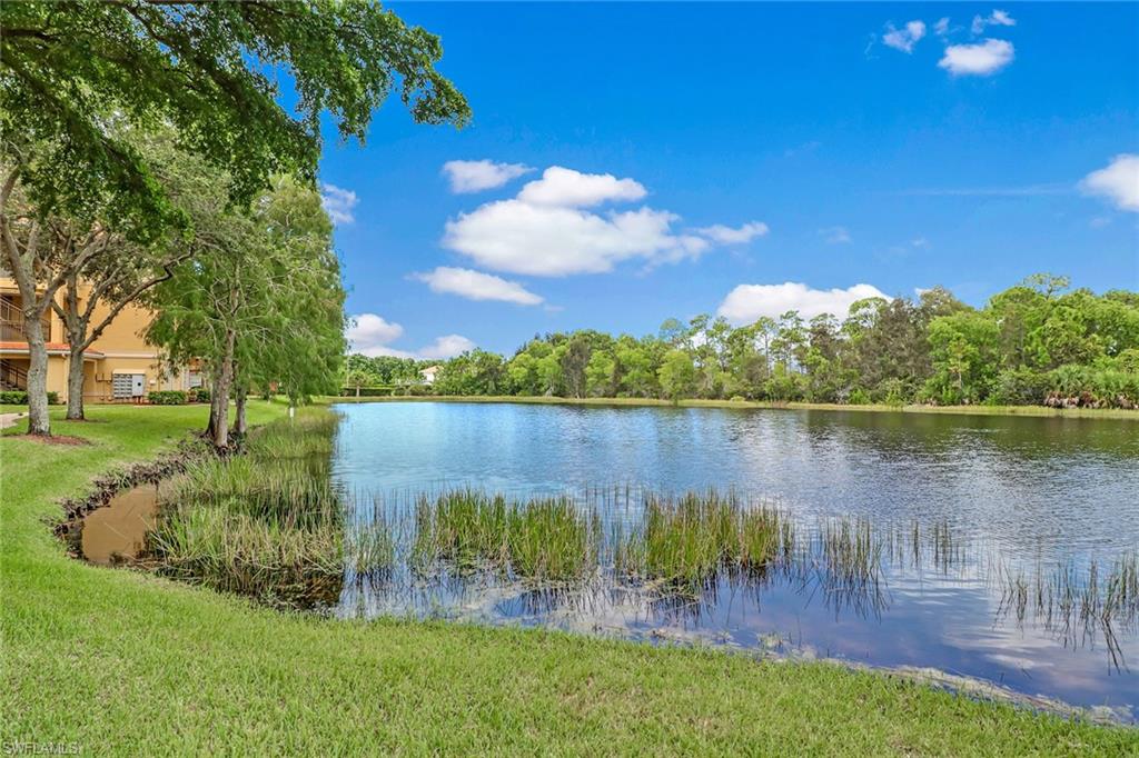 THE TIDES AT PELICAN LANDING - Residential