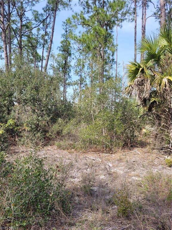 LEHIGH PROPERTIES - Land