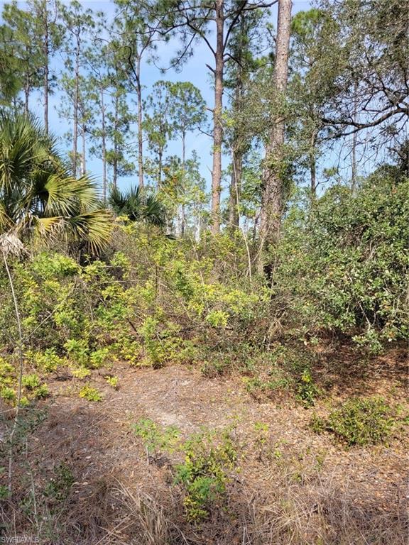 LEHIGH PROPERTIES - Land