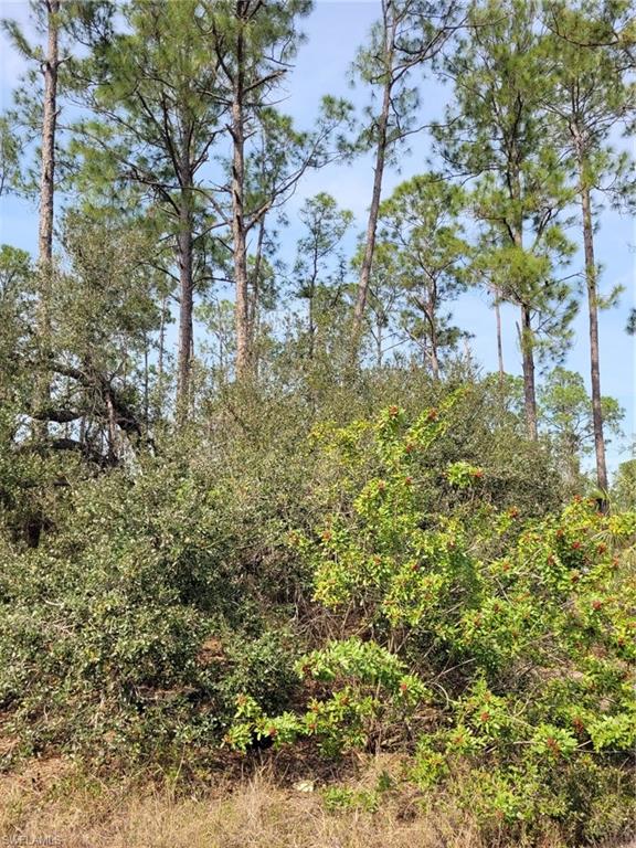 LEHIGH PROPERTIES - Land