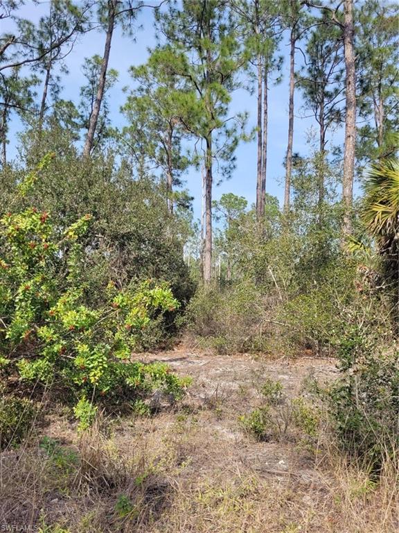 LEHIGH PROPERTIES - Land