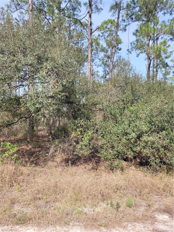 LEHIGH PROPERTIES - Land