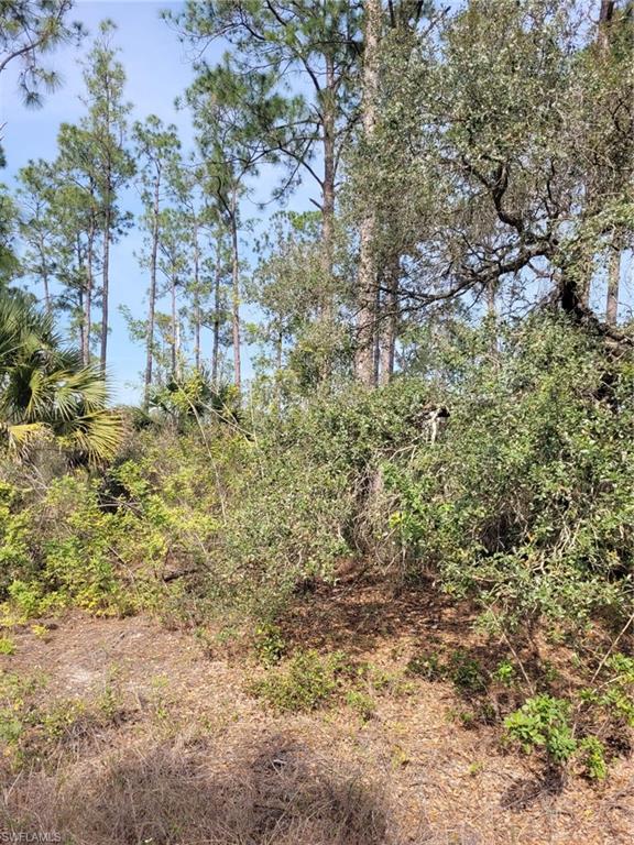 LEHIGH PROPERTIES - Land