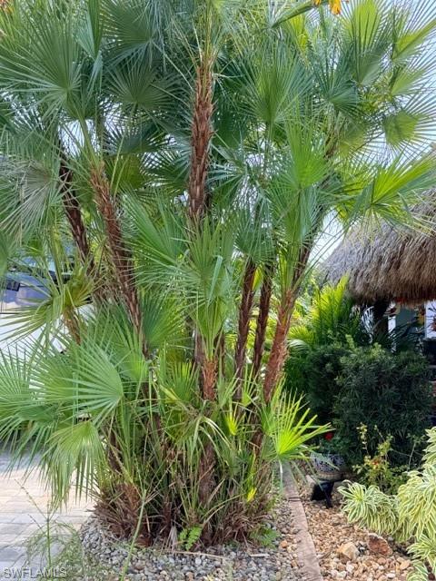 CYPRESS TRAIL RV RESORT - Land