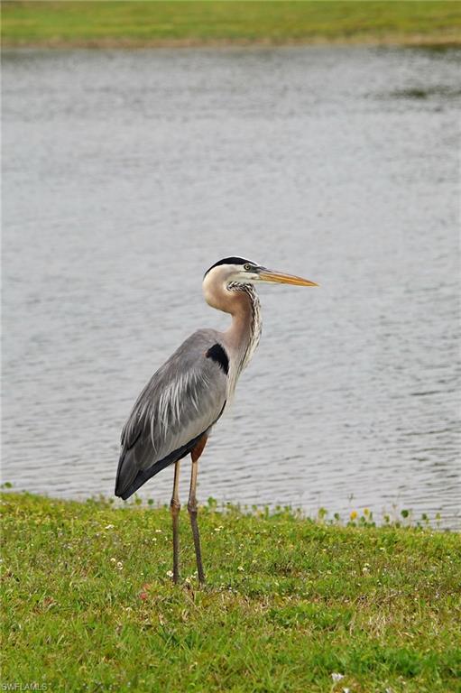 CYPRESS TRAIL RV RESORT - Land