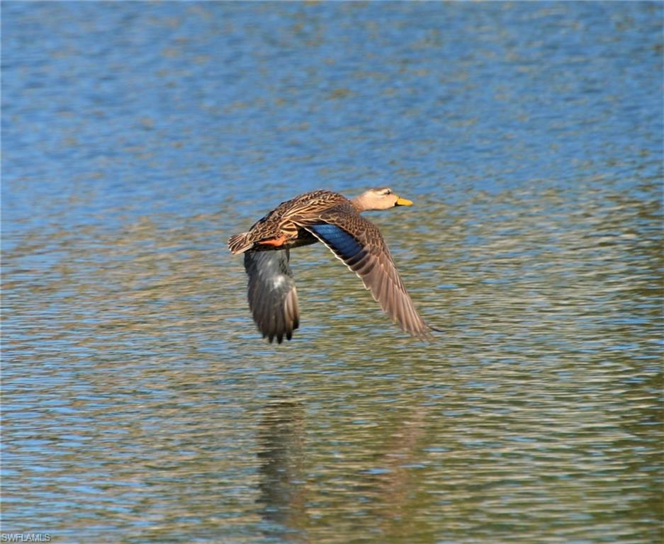 CYPRESS TRAIL RV RESORT - Land