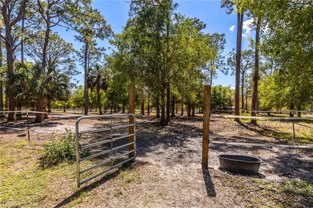 NORTH FORT MYERS - Residential