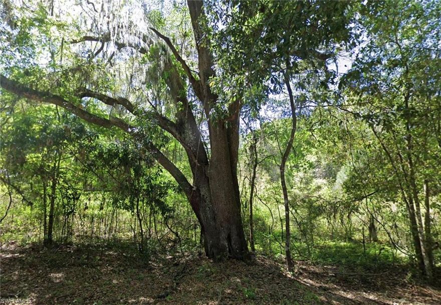 LOCATION, LOCATION!! BUILD YOUR DREAM HOME HERE OR HOLD FOR FUTURE INVESTMENT! This exceptional 5-acre parcel zoned AG-3 and is in the heart of Columbia County, perfectly situated in the charming town of Fort White. This property offers true versatility and endless potential to build your dream home taking advantage the ideal blend of space, flexibility, and privacy. The property delivers a serene natural setting with built-in peace of mind. you can have a mobile home, manufactured home or site build on this lot with the structure being a minimum of 450 sqft. Conveniently located close to local schools, dining, parks, and the world-famous Ichetucknee Springs and Santa Fe River, this parcel combines the best of country living with easy access to everyday essentials.  Opportunities like this are rare. Secure your slice of North Florida paradise and create the lifestyle you've always envisioned.