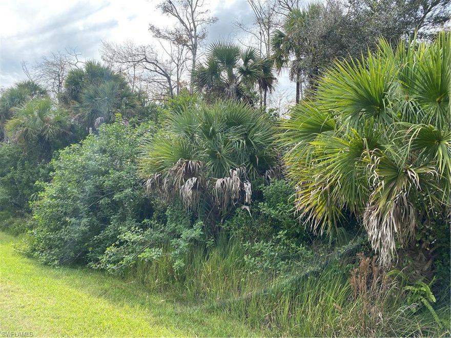 This 2.73-acre vacant lot offers an excellent opportunity to build your dream home in a peaceful, spacious setting. Measuring approximately 180 feet wide by 660 feet deep, the property provides plenty of room for a custom residence, outdoor living areas, and more.
Located in Golden Gate Estates, Naples,Flordia, this property allows for horses and barns, making it ideal for those seeking a rural lifestyle with added flexibility. Enjoy privacy and open space while still being within reach of shopping, dining, and local amenities.
Land use and building details are available upon request with a deposit. Don’t miss the chance to create your own private retreat in this desirable area.