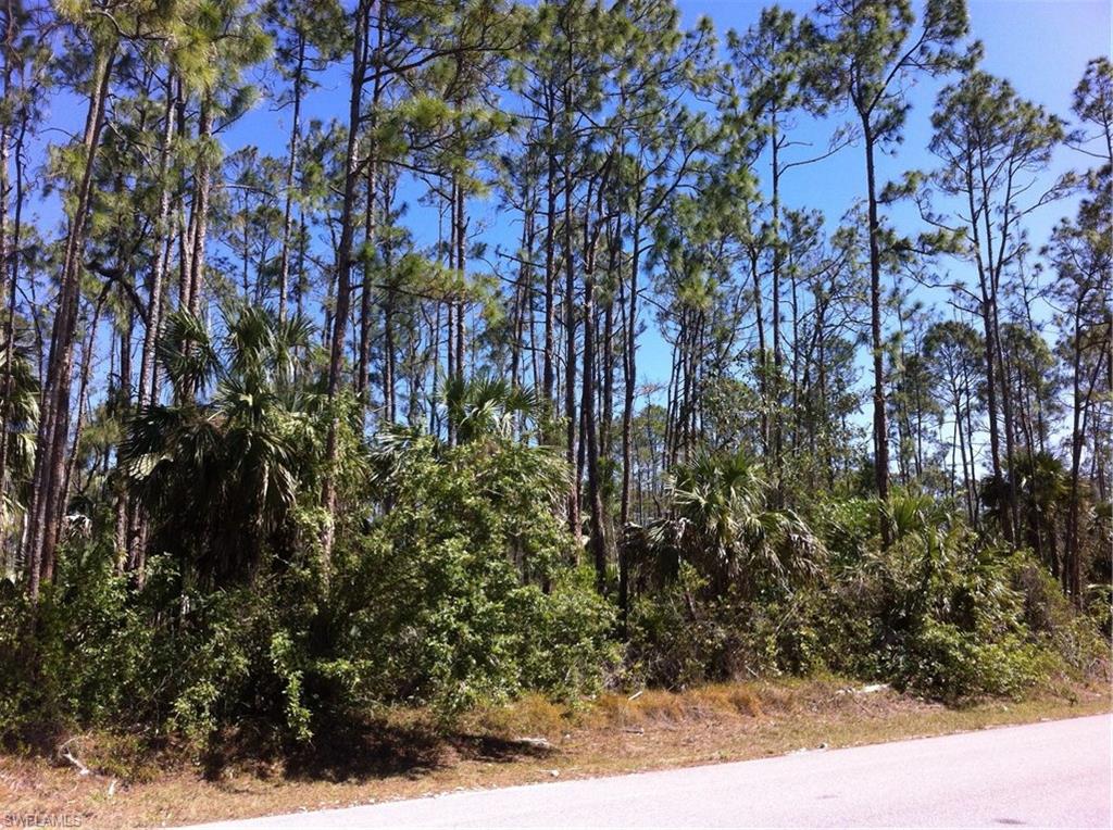 GOLDEN GATE ESTATES - Land