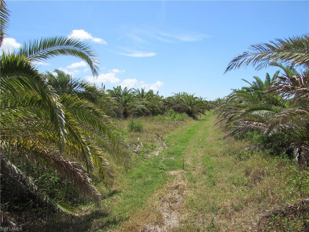 KREAMERS SUBD - Land