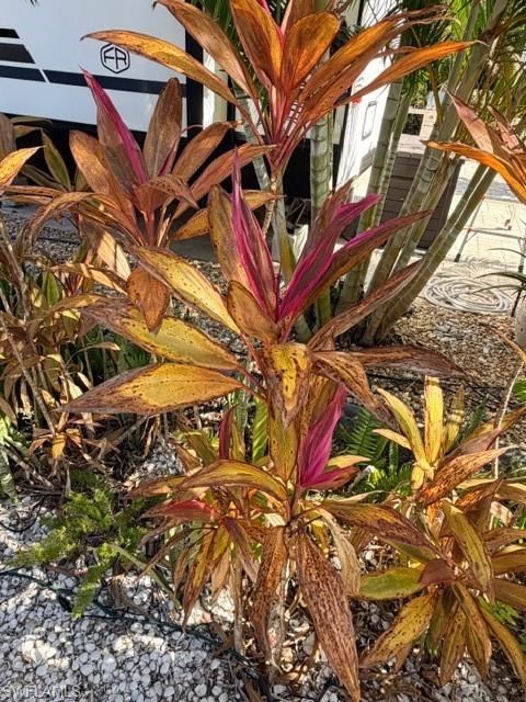 CYPRESS TRAIL RV RESORT - Land