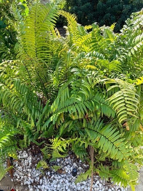 CYPRESS TRAIL RV RESORT - Land