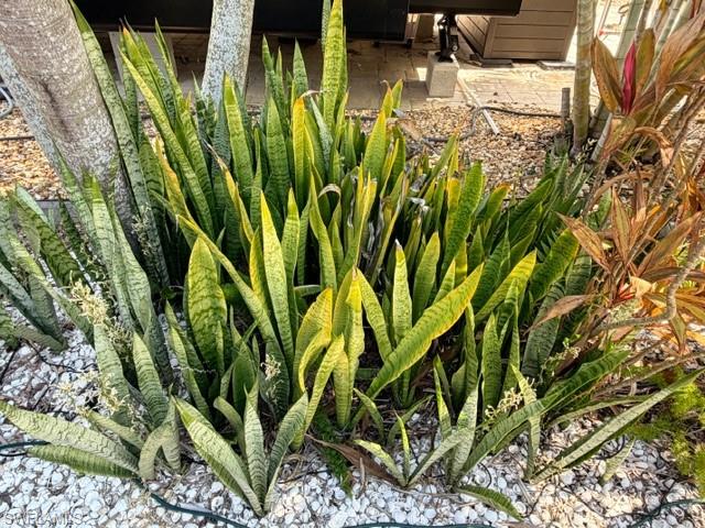 CYPRESS TRAIL RV RESORT - Land