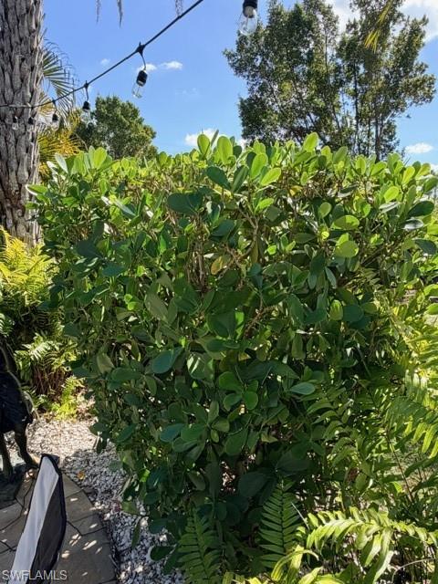 CYPRESS TRAIL RV RESORT - Land