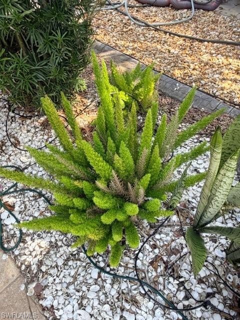 CYPRESS TRAIL RV RESORT - Land