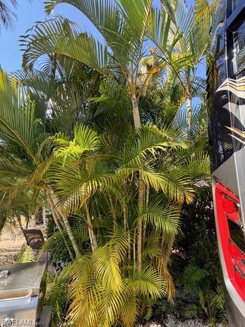 CYPRESS TRAIL RV RESORT - Land