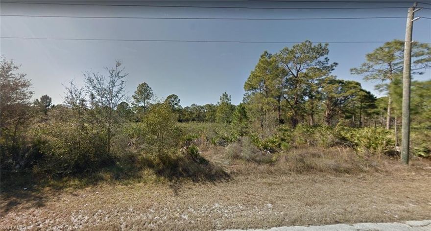 Great Opportunity! Come and build your dream home in upcoming neighborhood in Alva, SW Florida. Close to Schools, Shopping and Restaurants. ½ acre lot conveniently located minutes away to the Alva boat ramp on the Caloosahatchee River, quick access to I-75.