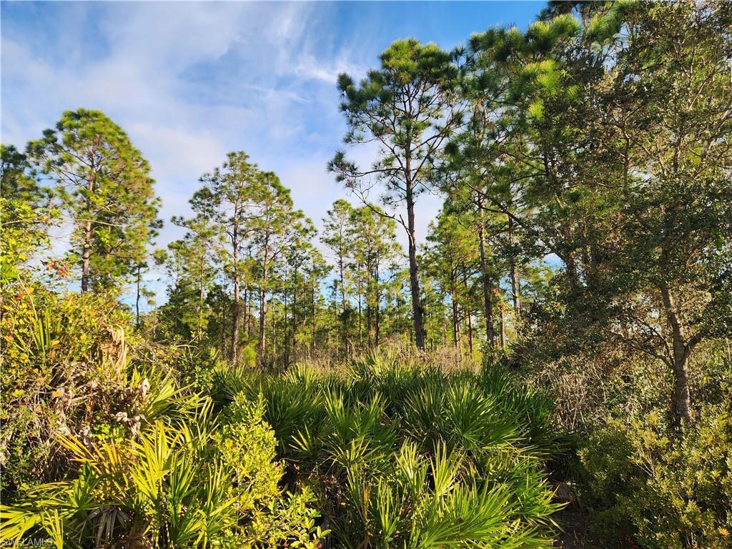 GOLDEN GATE ESTATES - Land