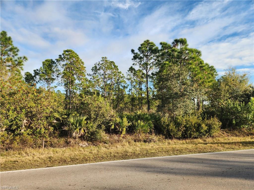 GOLDEN GATE ESTATES - Land