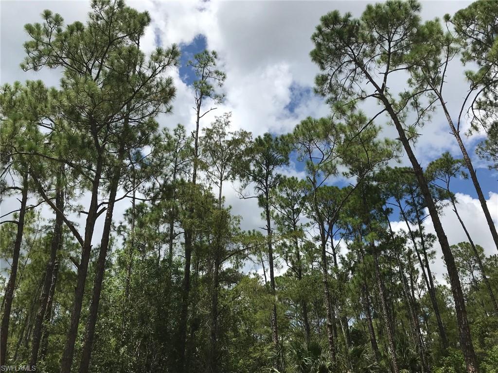 GOLDEN GATE ESTATES - Land