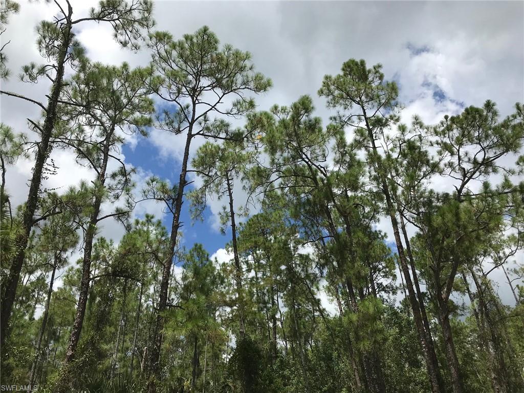 GOLDEN GATE ESTATES - Land