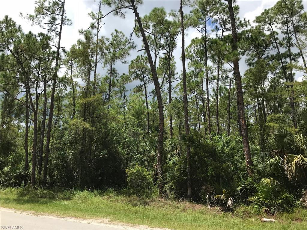 GOLDEN GATE ESTATES - Land