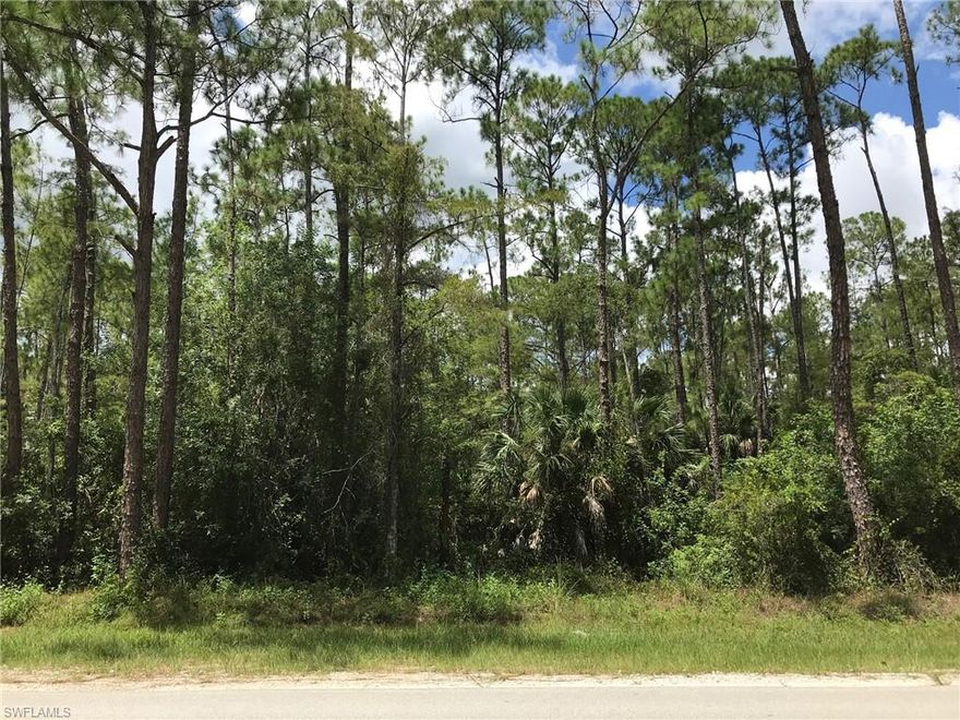 Enjoy the peaceful, country lifestyle of Golden Gate Estates, just minutes from the splendor and beautiful beaches of Naples, Florida. Build the home of your dreams on this wonderful 2.34 acre pine covered lot. Zoning allows 2 horses per acre. DEP Wetland Determination attached indicates an Environmental Resource Permit will be required.