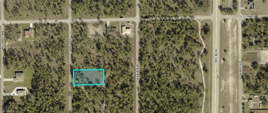 ****Opportunity Knocks!**** Here’s your chance to own two side-by-side, buildable half-acre lots in a prime location! The lot just south of this property (1216 James Ave., MLS#2025014455 is also available — purchase both for a full acre of land and create the perfect setting for your dream pool home. With eastern exposure, you’ll enjoy breathtaking sunrises with your morning coffee, right from your backyard. Just one block west of Joel Blvd., this property offers quick and convenient access to both State Road 80 and State Road 82, making commuting and getting around town a breeze. This is NOT an assignment of contract — these are local sellers ready for a quick response and fast closing. Don’t miss this rare opportunity!