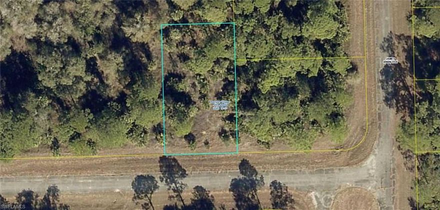 Build your NEW HOME on this quarter acre lot located in Banyan Village. The property is approximately 15 minutes east of downtown LaBelle. Just a short drive to schools & shopping. No HOA's or Restrictions! Central water is available! Own your piece of Florida today!