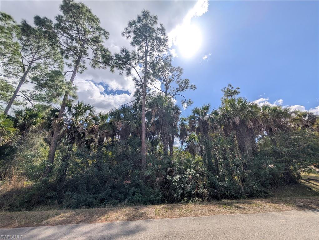 GOLDEN GATE ESTATES - Land