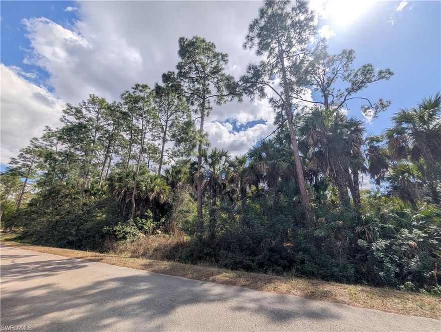 Build your dream home on this exceptional 2.73-acre parcel offering 180 feet of frontage and desirable southern exposure. This beautiful homesite features plenty of uplands and no environmental permit required to build, saving you time and added expense. Environmental study available for review.

Set on a beautiful street lined with newer homes, the property offers space, privacy, and a strong sense of neighborhood pride. Ideally located with convenient access to major through roads, commuting is simple while still enjoying the peaceful feel of estate living.

Just minutes to Publix, Ace Hardware, restaurants, shops, everyday conveniences, Big Corkscrew Regional Park, and nearby nature trails. Situated in a booming area with continued growth and strong long-term potential.

Opportunities like this are becoming harder to find. Come see the property and envision the possibilities for yourself.