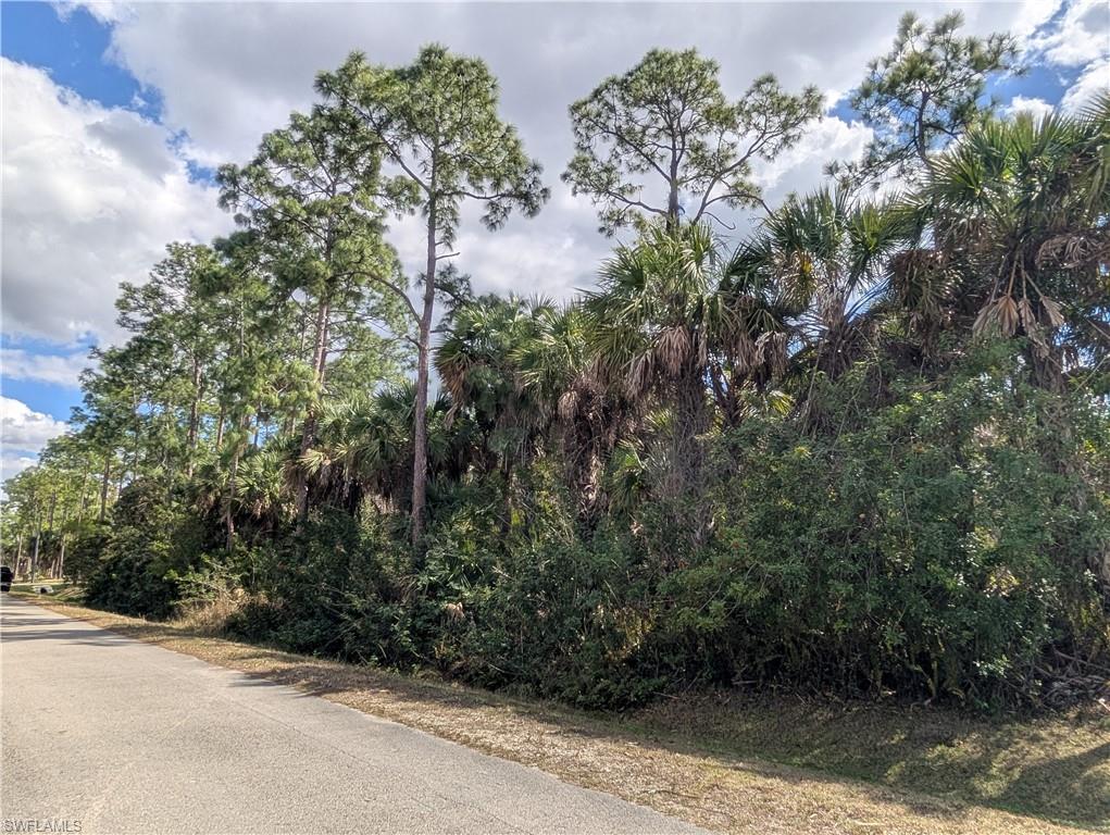 GOLDEN GATE ESTATES - Land