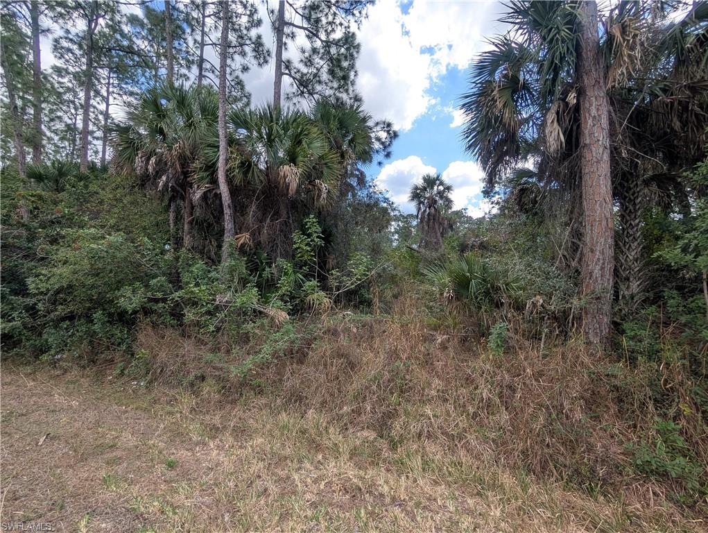 GOLDEN GATE ESTATES - Land