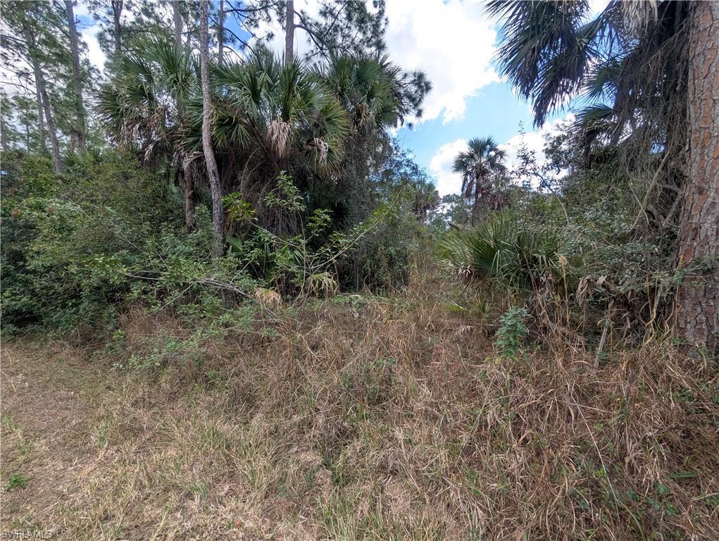 GOLDEN GATE ESTATES - Land