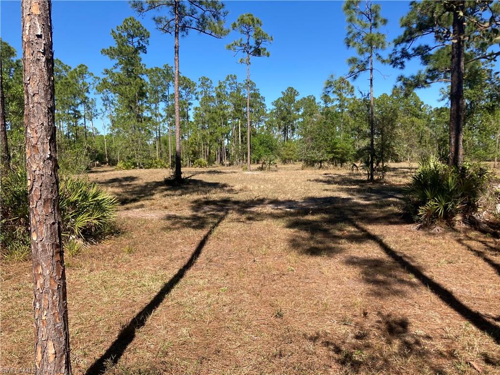 ACREAGE HEADER - Land