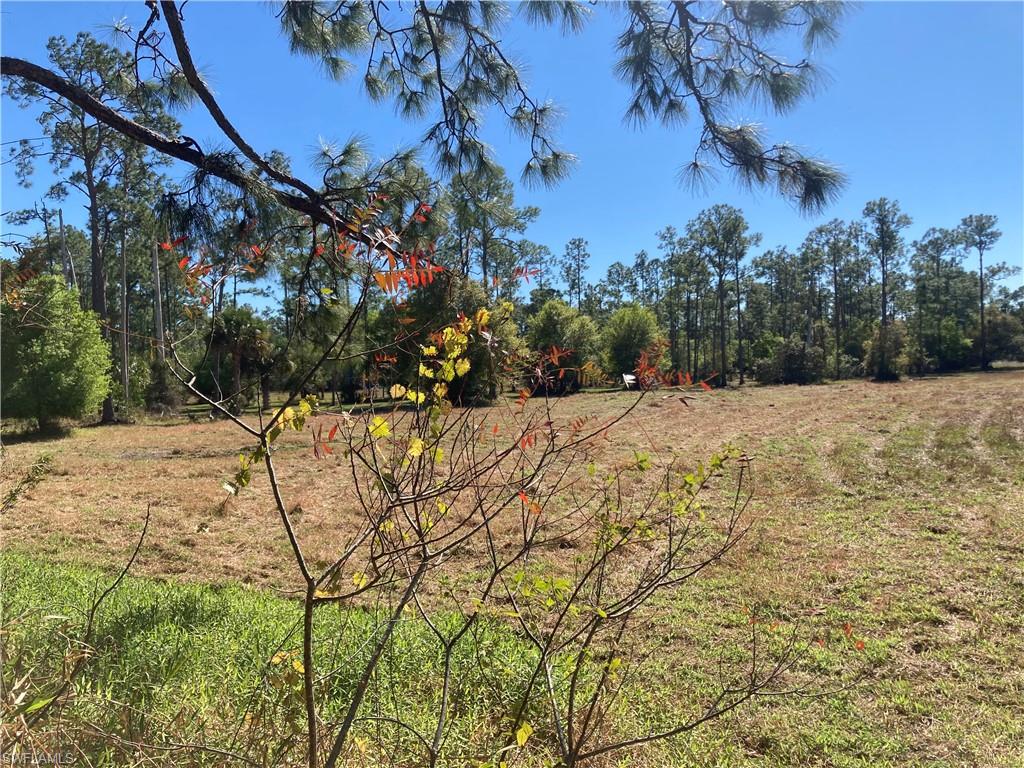 ACREAGE HEADER - Land