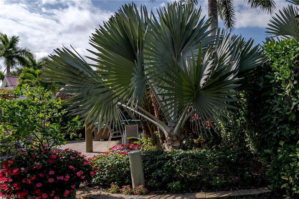 NAPLES MOTORCOACH RESORT - Land