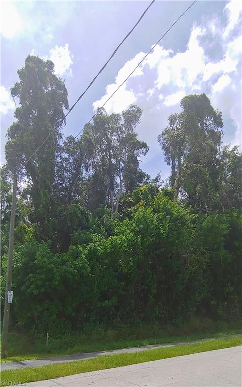 SAN CARLOS PARK - Land