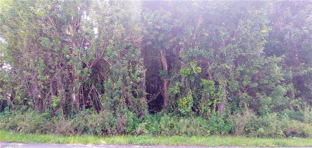 SAN CARLOS PARK - Land