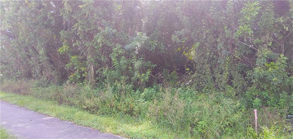 SAN CARLOS PARK - Land