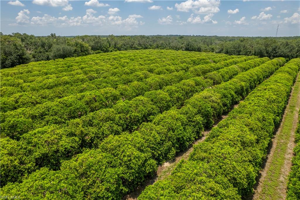 NOT APPLICABLE - Land