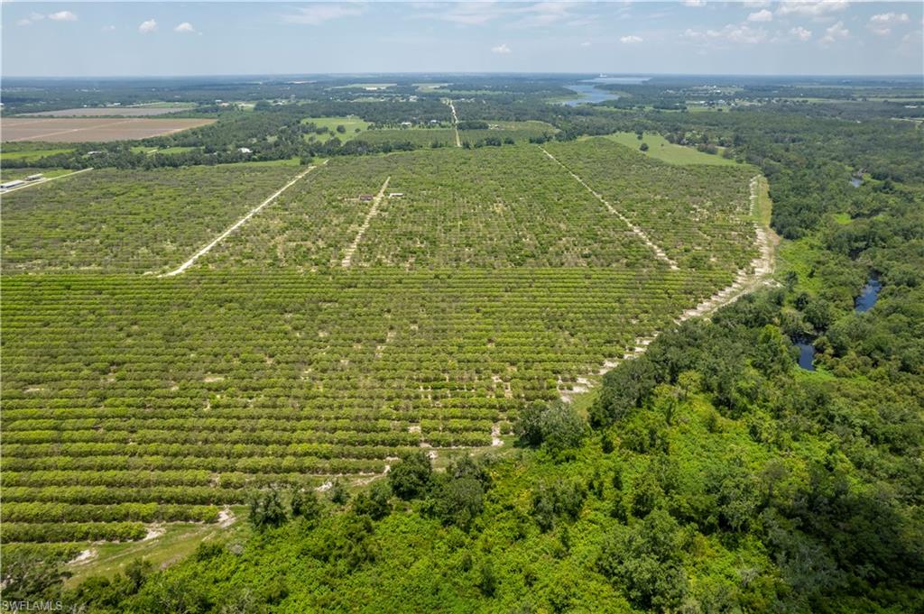 NOT APPLICABLE - Land