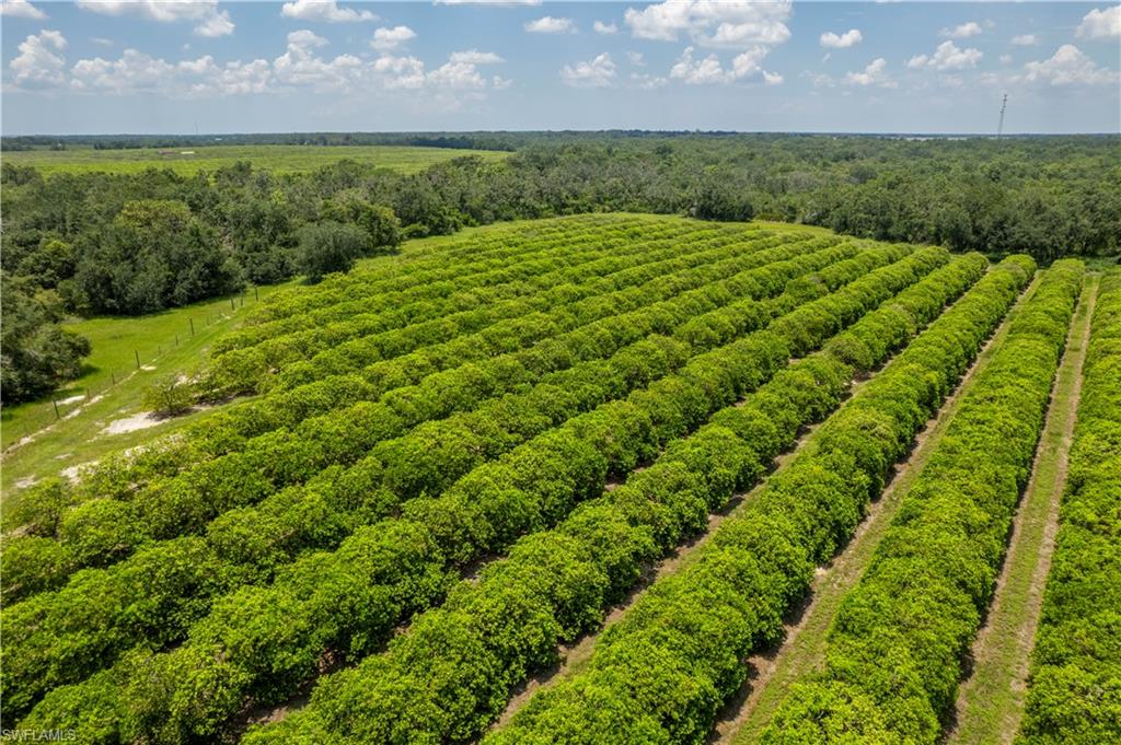 NOT APPLICABLE - Land