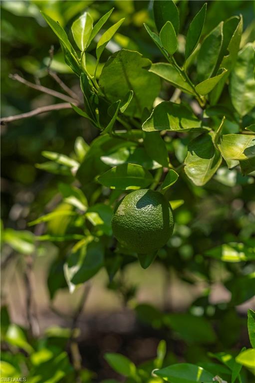 NOT APPLICABLE - Land