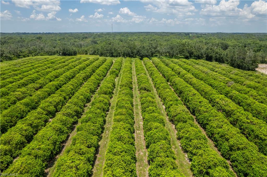 NOT APPLICABLE - Land