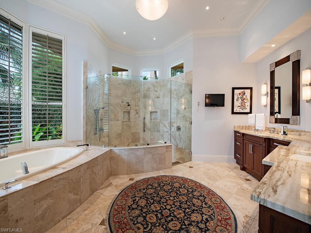 IBIS COVE AT BONITA BAY - Residential